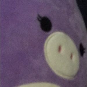 Meet your Posher, Courtney